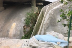 img00025